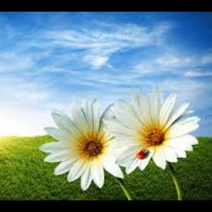 Meet your Posher, Pam